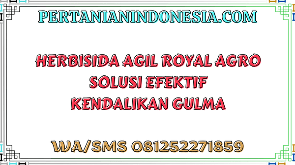 Herbisida Agil Royal Agro Solusi Efektif Kendalikan Gulma